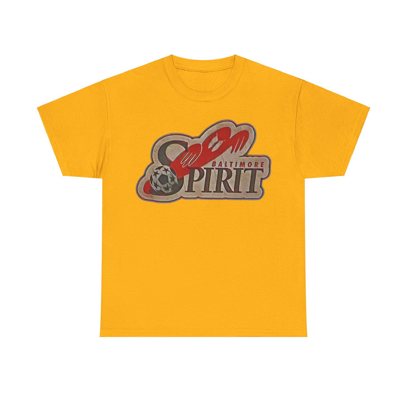 Load image into Gallery viewer, Baltimore Spirit Maryland Soccer Team T-shirt