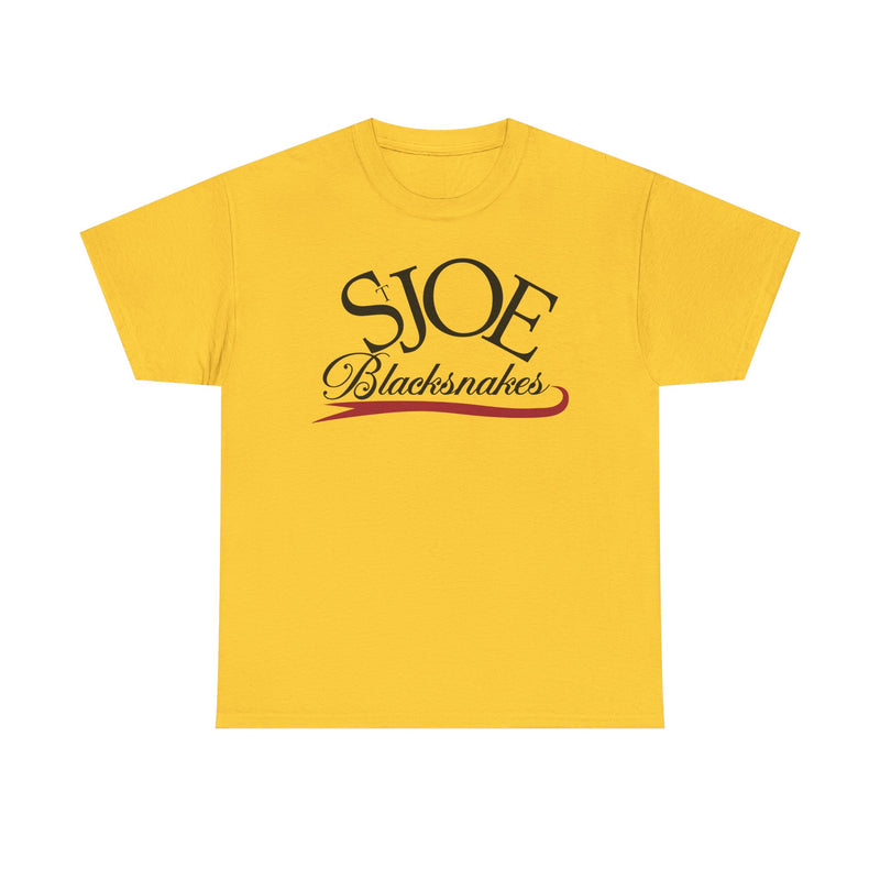 Load image into Gallery viewer, St. Joe Blacksnakes Missouri Baseball 2006-2007 T-shirt