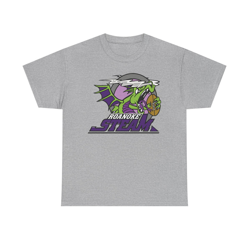 Load image into Gallery viewer, Roanoke Steam Virginia Arena Football 2000-2002 T-shirt