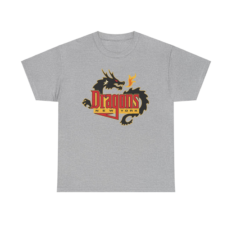 Load image into Gallery viewer, New York Dragons Arena Football League 2001-2008 T-shirt