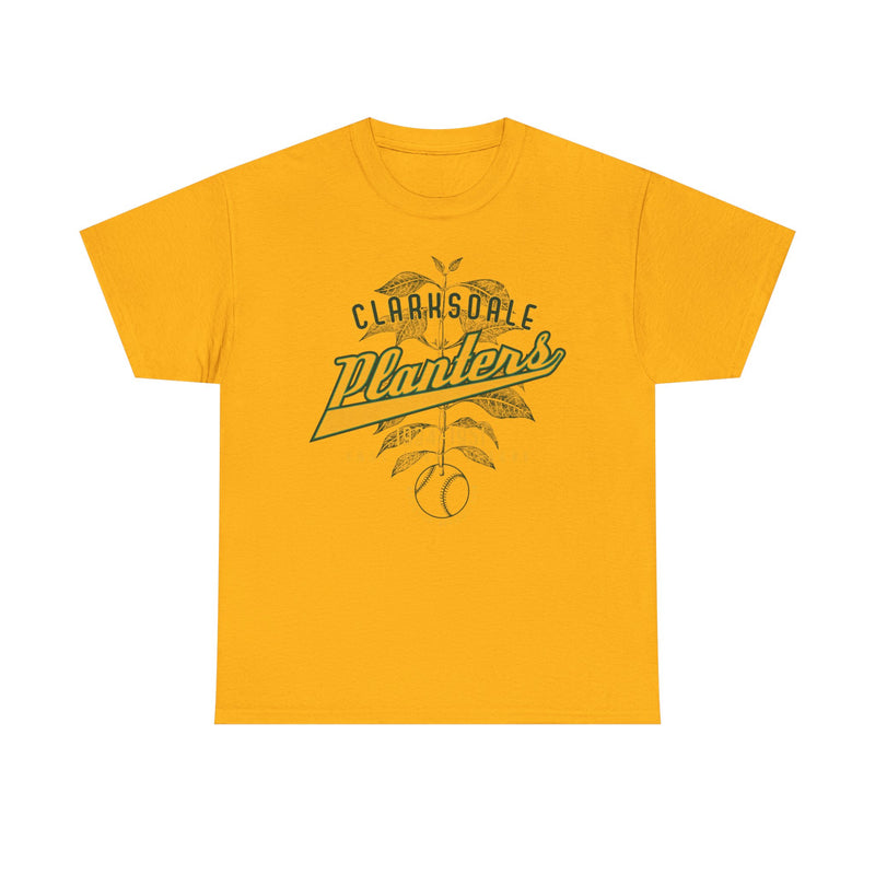Load image into Gallery viewer, Clarksdale Planters Est 1934 Mississippi Baseball T-shirt