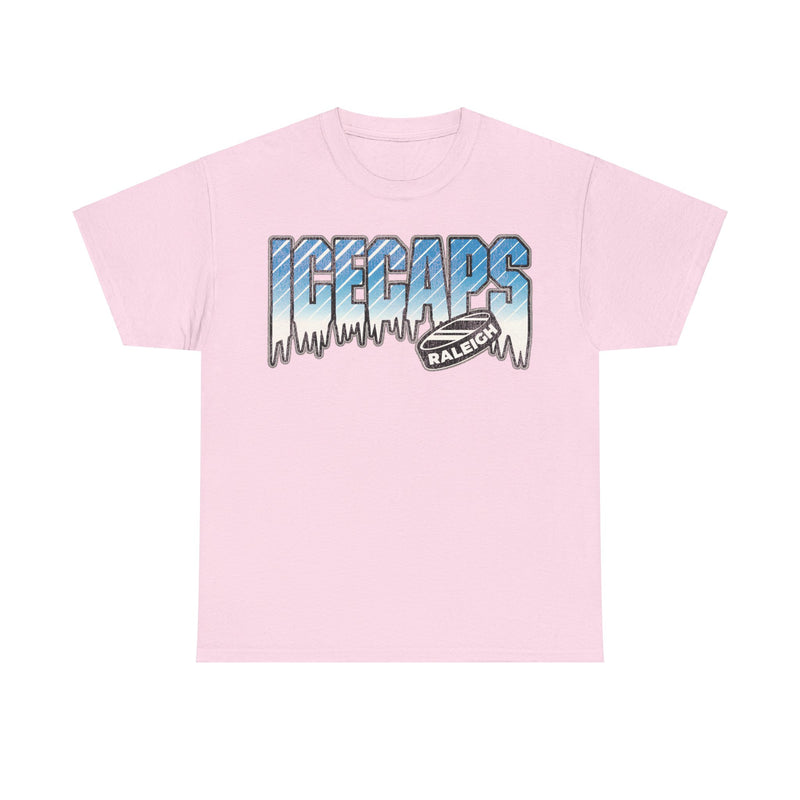Load image into Gallery viewer, Raleigh Ice Caps North Carolina Ice Hockey T-shirt
