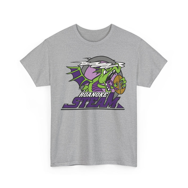 Load image into Gallery viewer, Roanoke Steam Virginia Arena Football 2000-2002 T-shirt