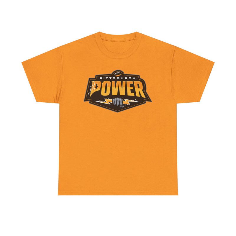 Load image into Gallery viewer, Pittsburgh Power Pennsylvania Arena Football 2011-2014 T-shirt