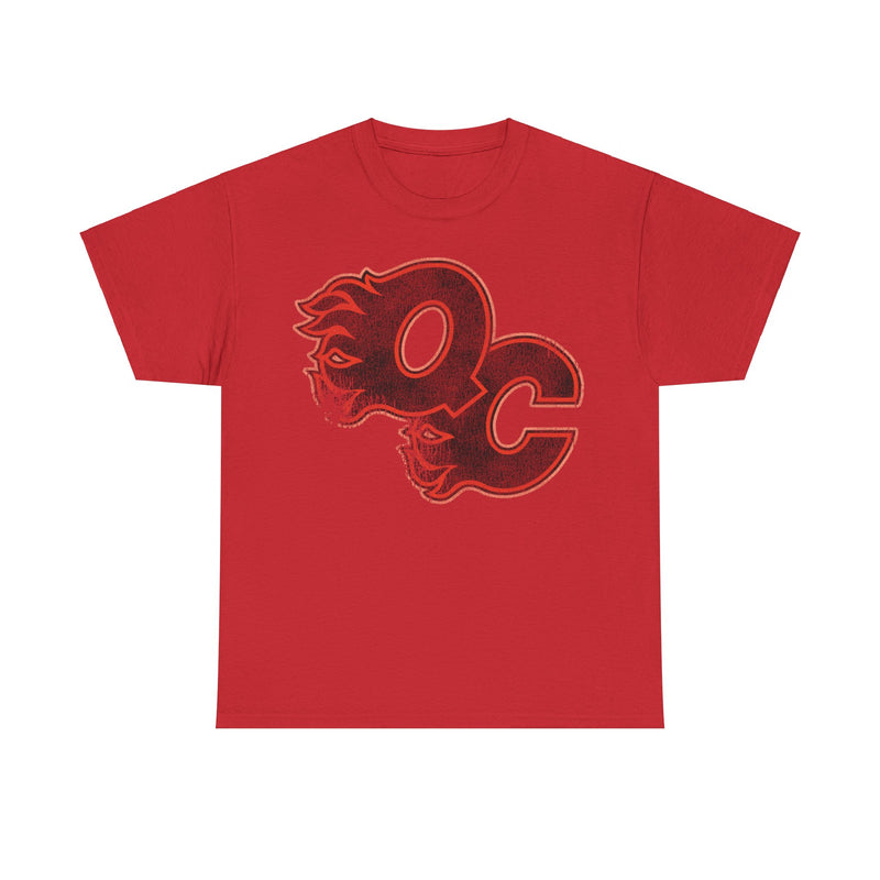 Load image into Gallery viewer, Quad City Flames Illinois Hockey Team T-shirt