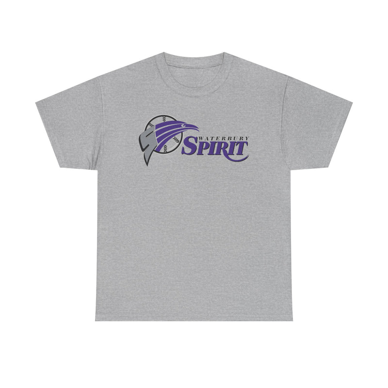 Load image into Gallery viewer, Waterbury Connecticut Spirit Baseball 1997-2000 T-shirt