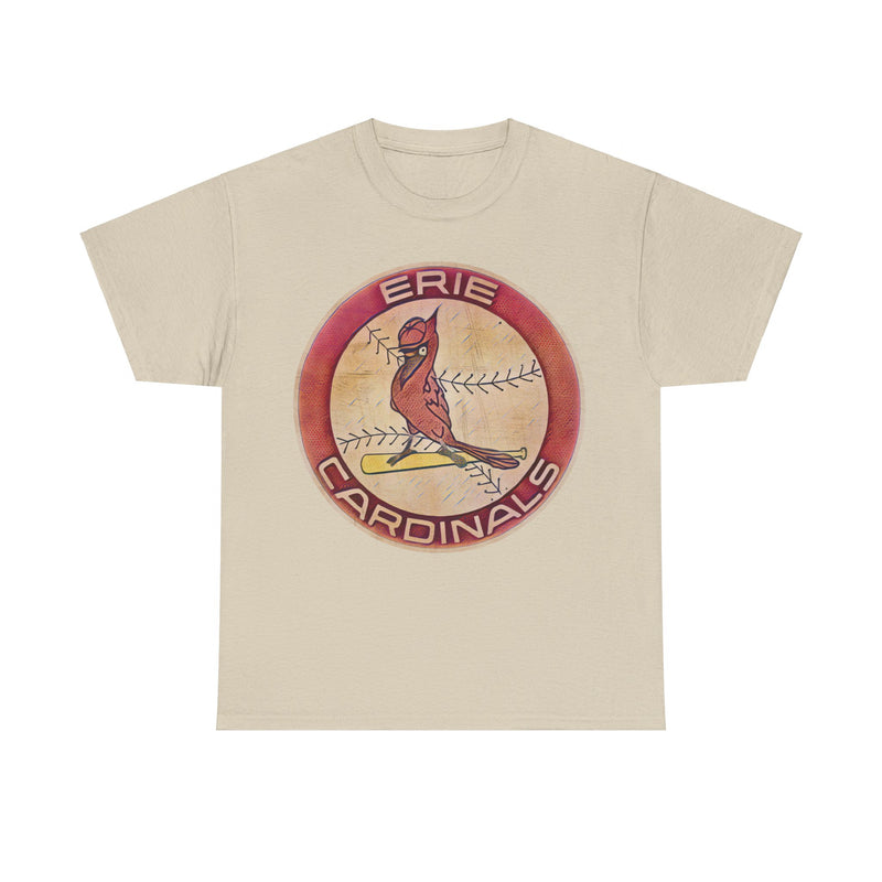 Load image into Gallery viewer, Erie Cardinals Pennsylvania Baseball Team T-shirt