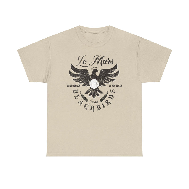 Load image into Gallery viewer, Le Mars Blackbirds Est 1902 Iowa Baseball T-shirt