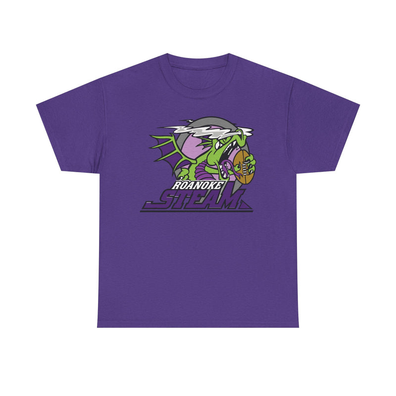 Load image into Gallery viewer, Roanoke Steam Virginia Arena Football 2000-2002 T-shirt