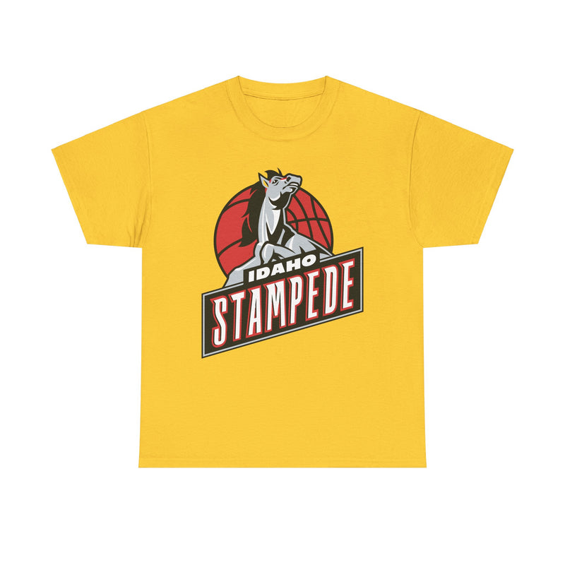 Load image into Gallery viewer, Idaho Stampede Continental Basketball Association NBA D-League 1997-2016 T-shirt