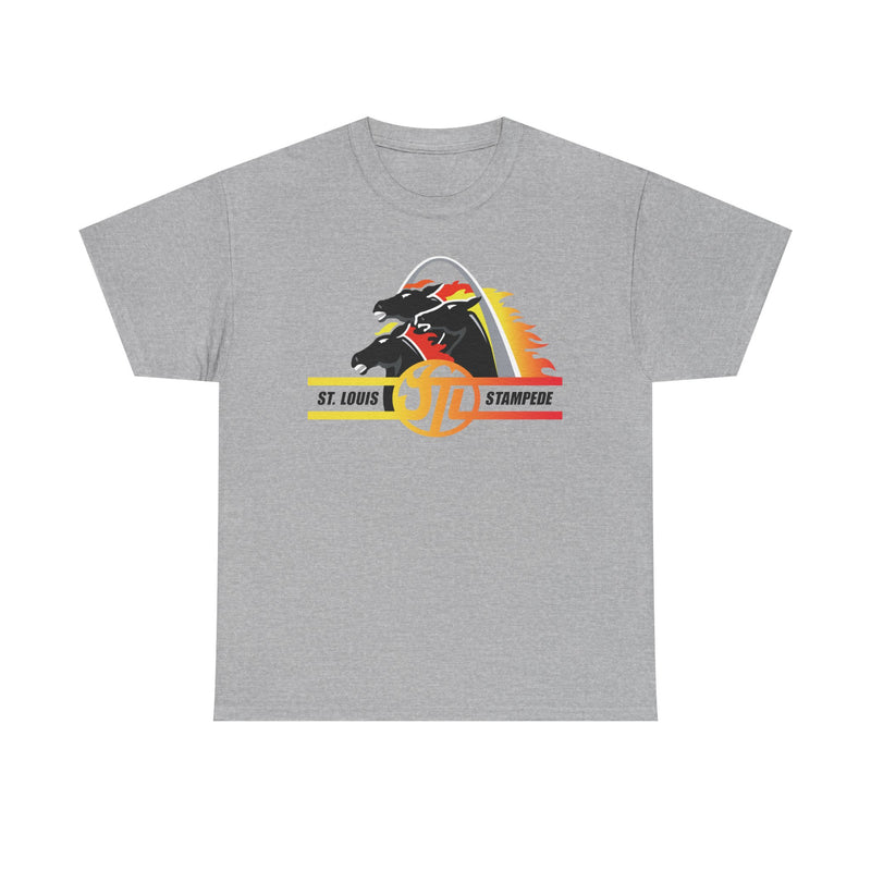 Load image into Gallery viewer, St. Louis Stampede Missouri Arena Football 1995-1996 T-shirt