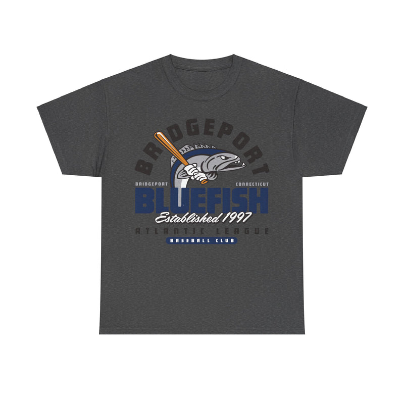 Load image into Gallery viewer, Bridgeport Bluefish Est 1997 Connecticut Baseball T-shirt