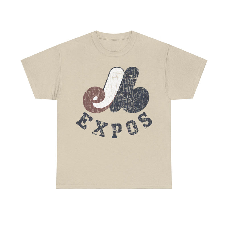 Load image into Gallery viewer, Montreal Expos Distressed Logo Baseball T-shirt