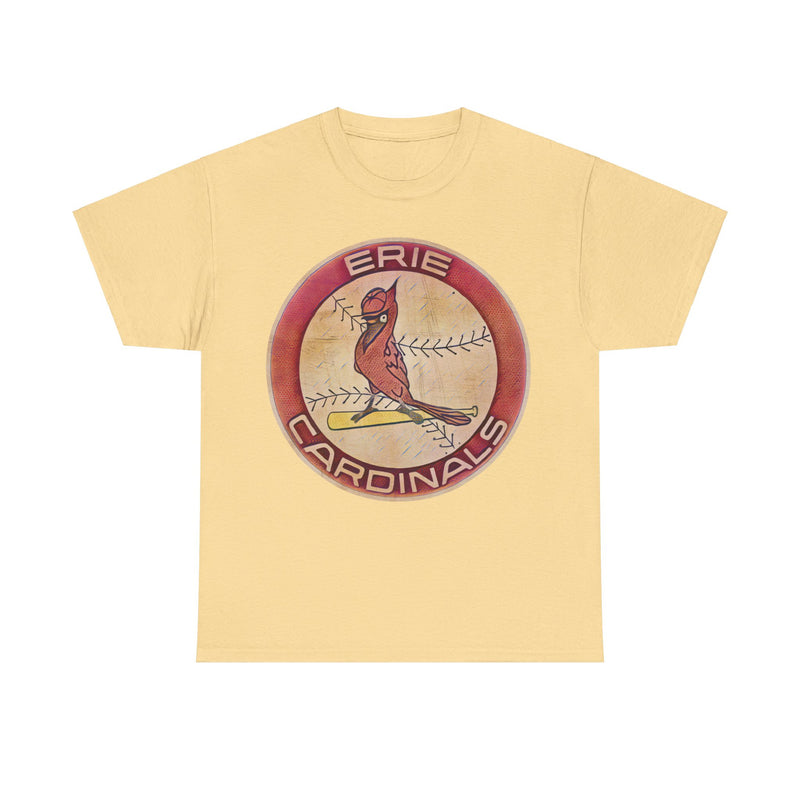 Load image into Gallery viewer, Erie Cardinals Pennsylvania Baseball Team T-shirt