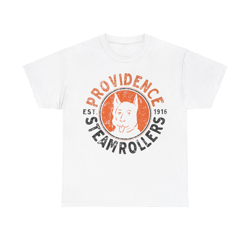Load image into Gallery viewer, Providence Steamrollers Rhode Island Est 1916 Football T-shirt
