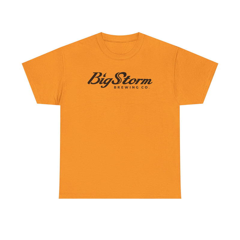 Load image into Gallery viewer, Big Storm Brewing Co T-Shirt - Bankrupt Brewery Logo Tee