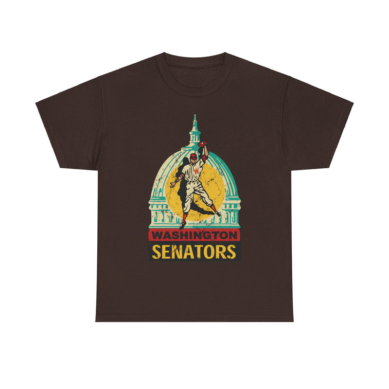 Load image into Gallery viewer, Washington DC Senators Capital Logo Baseball T-shirt