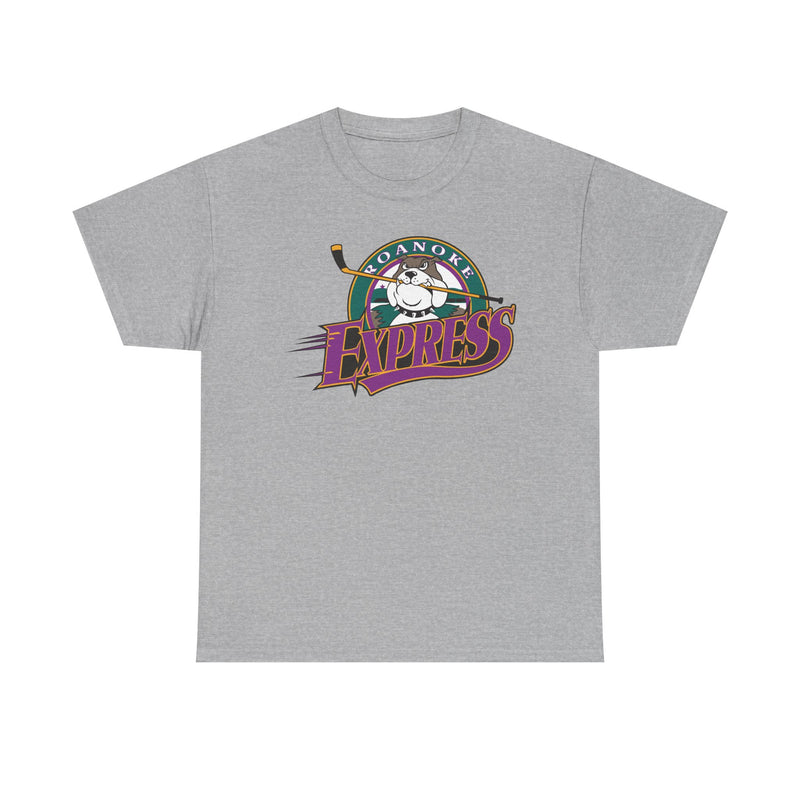 Load image into Gallery viewer, Roanoke Express Virginia Hockey 1993-2004 T-shirt