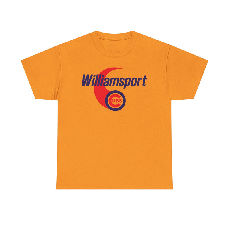 Load image into Gallery viewer, Williamsport Cubs Baseball 1994-1998 Pennsylvania T-shirt