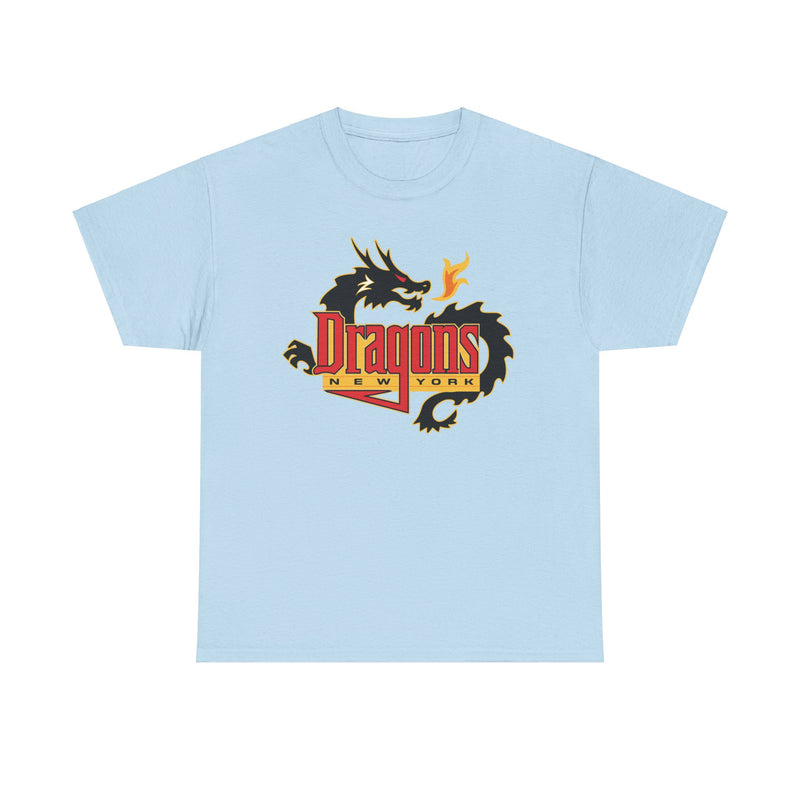 Load image into Gallery viewer, New York Dragons Arena Football League 2001-2008 T-shirt