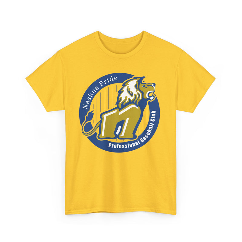 Load image into Gallery viewer, Nashua Pride New Hampshire Baseball 1998-2008 T-shirt