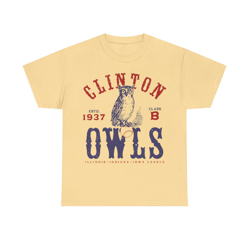 Load image into Gallery viewer, Clinton Owls Est 1937 Iowa Baseball T-shirt