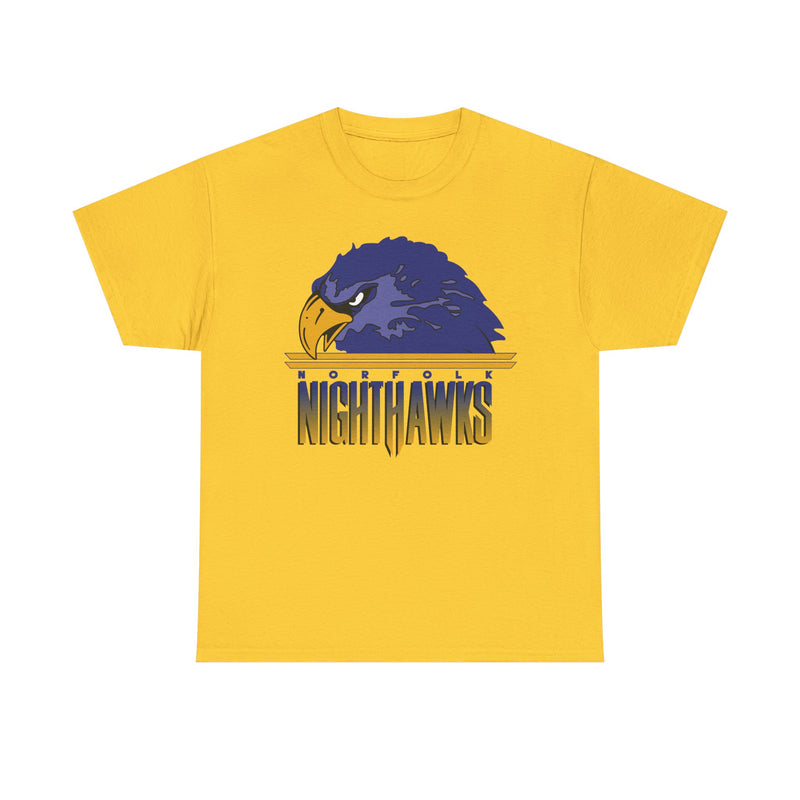 Load image into Gallery viewer, Norfolk Nighthawks Virginia Arena Football 2000-2003 T-shirt