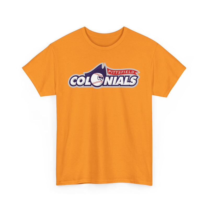 Load image into Gallery viewer, Pittsfield Colonials Massachusetts Baseball 2010-2011 T-shirt
