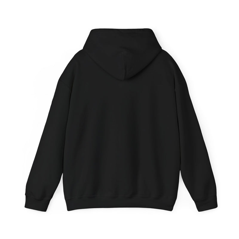 Load image into Gallery viewer, Silk Road Anonymous Marketplace Nostalgic Logo Pullover Hoody