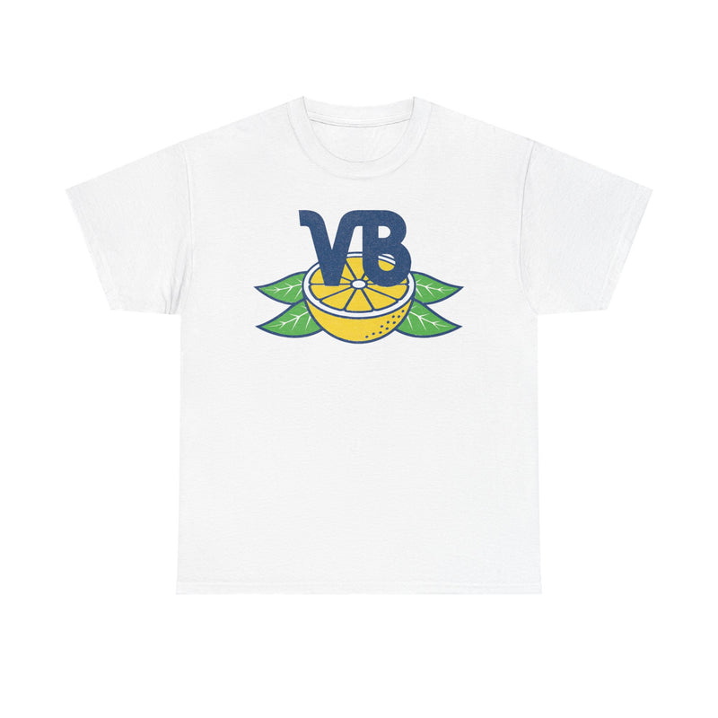 Load image into Gallery viewer, Vero Beach Dodgers Baseball Team Retro Nostalgic T-shirt