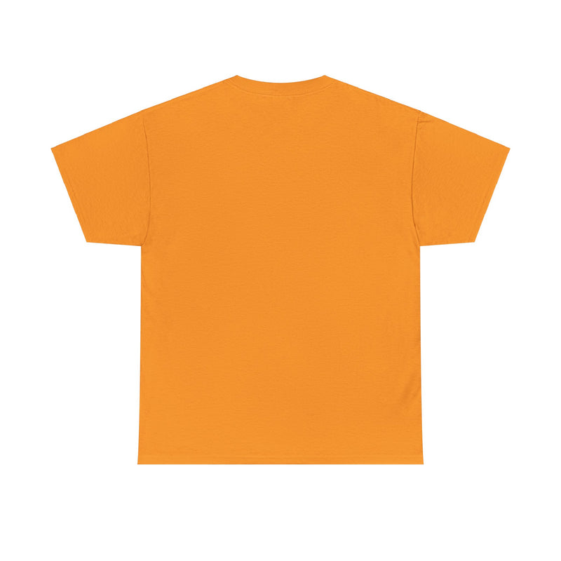 Load image into Gallery viewer, Niagara Falls New York Lancers Midwest Football 1971 T-shirt