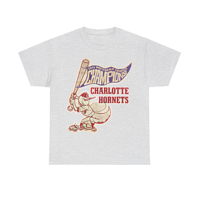 Load image into Gallery viewer, Charlotte Hornets 1971 Southern League Baseball T-shirt