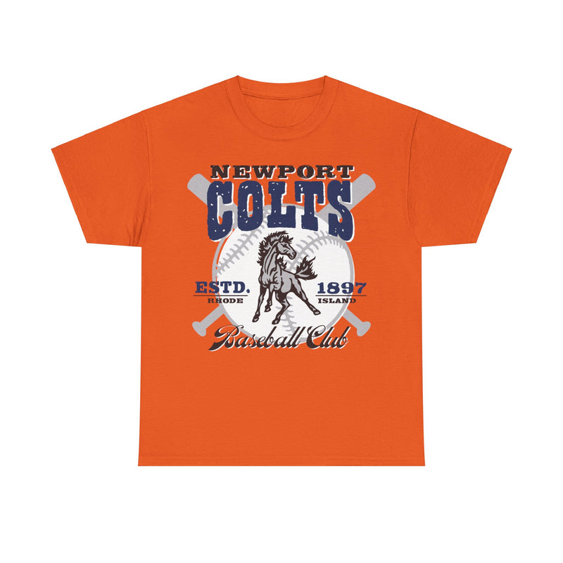 Load image into Gallery viewer, Newport Colts Est 1897 Rhode Island Baseball T-shirt