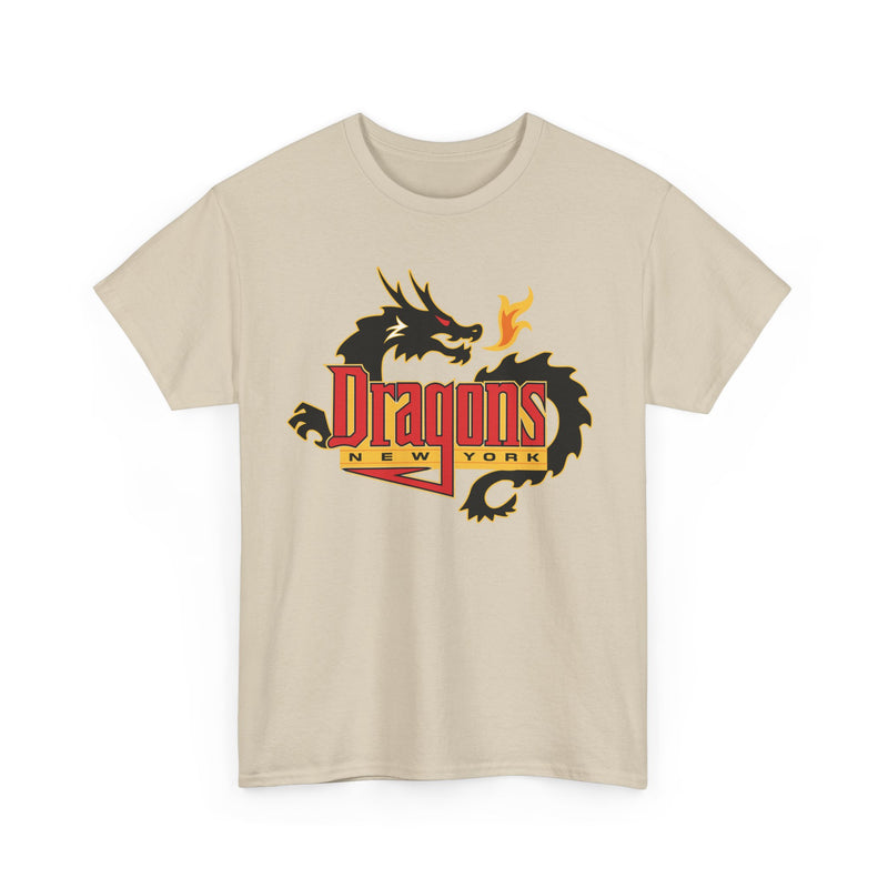 Load image into Gallery viewer, New York Dragons Arena Football League 2001-2008 T-shirt
