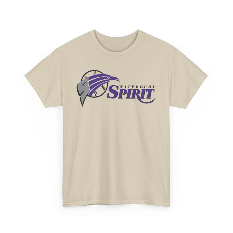 Load image into Gallery viewer, Waterbury Connecticut Spirit Baseball 1997-2000 T-shirt