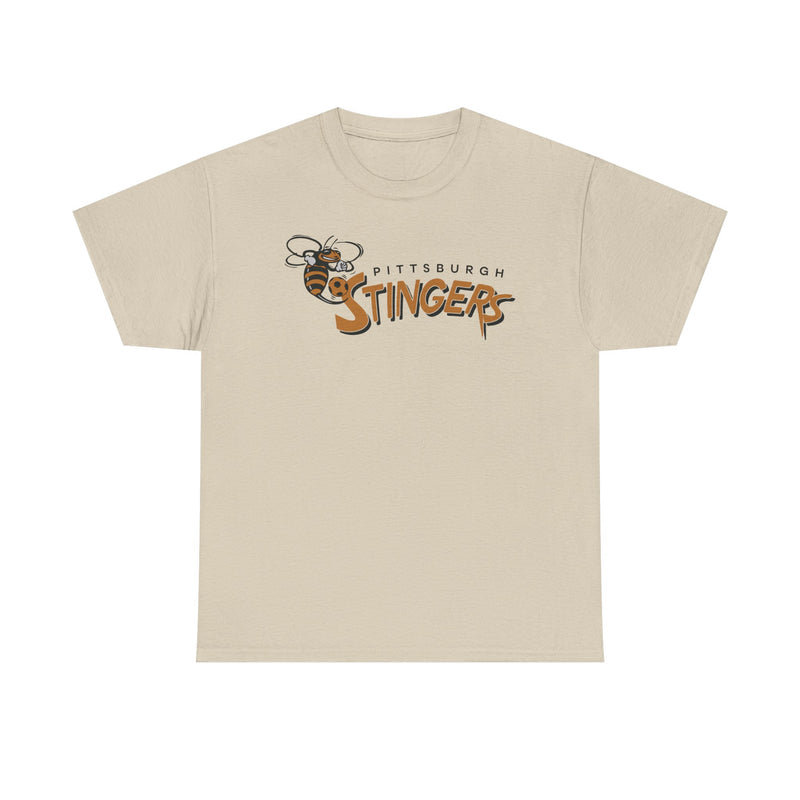 Load image into Gallery viewer, Pittsburgh Stingers Pennsylvania Soccer 1994-1995 T-shirt