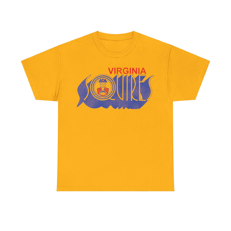 Load image into Gallery viewer, Virginia Squires Logo Basketball Team T-shirt