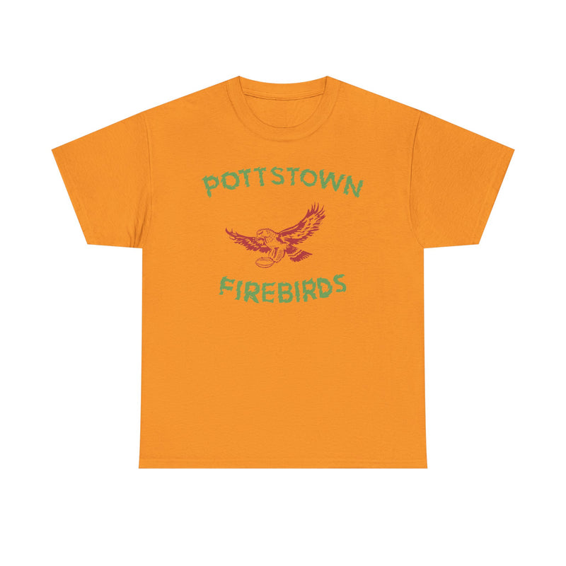 Load image into Gallery viewer, Pottstown Firebirds Pennsylvania 1968-1970 Football T-shirt