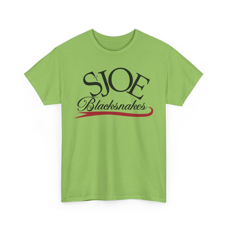 Load image into Gallery viewer, St. Joe Blacksnakes Missouri Baseball 2006-2007 T-shirt