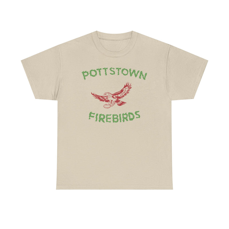 Load image into Gallery viewer, Pottstown Firebirds Pennsylvania 1968-1970 Football T-shirt
