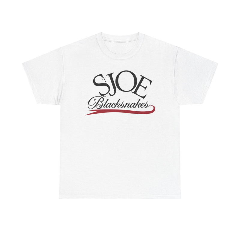 Load image into Gallery viewer, St. Joe Blacksnakes Missouri Baseball 2006-2007 T-shirt