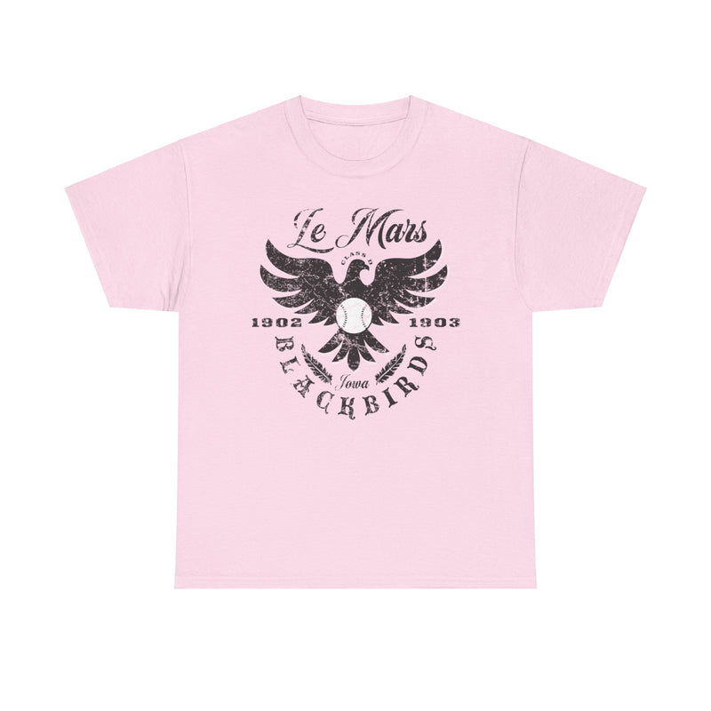 Load image into Gallery viewer, Le Mars Blackbirds Est 1902 Iowa Baseball T-shirt