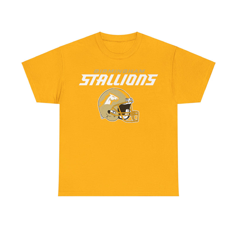 Load image into Gallery viewer, Birmingham Stallions Alabama Football Team T-shirt