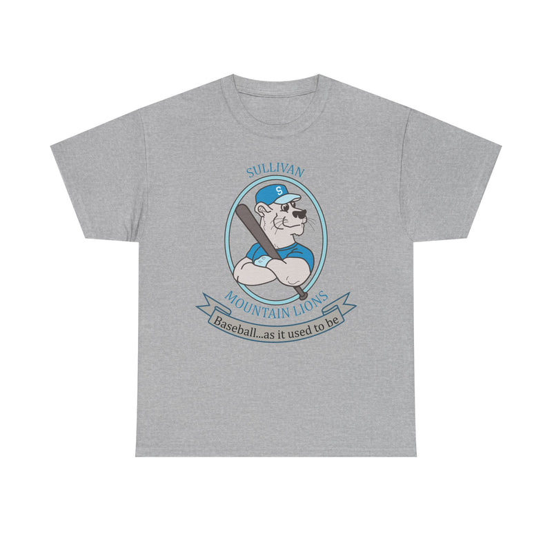 Load image into Gallery viewer, Sullivan County Mountain Lions Baseball 1995 New York T-shirt