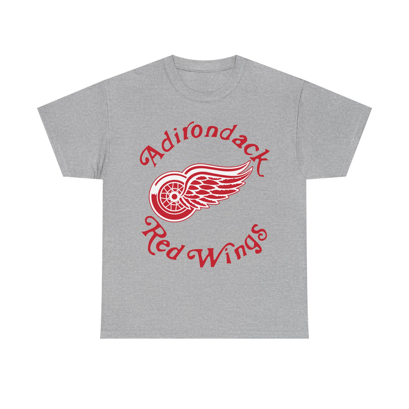 Load image into Gallery viewer, Adirondack Red Wings 1979 New York Hockey T-shirt