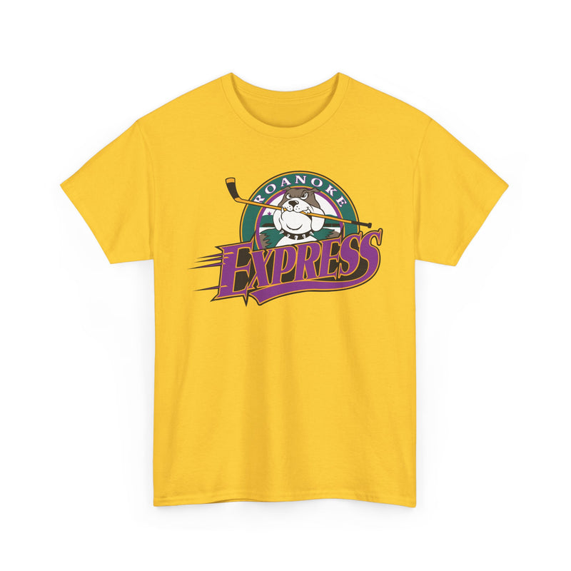 Load image into Gallery viewer, Roanoke Express Virginia Hockey 1993-2004 T-shirt