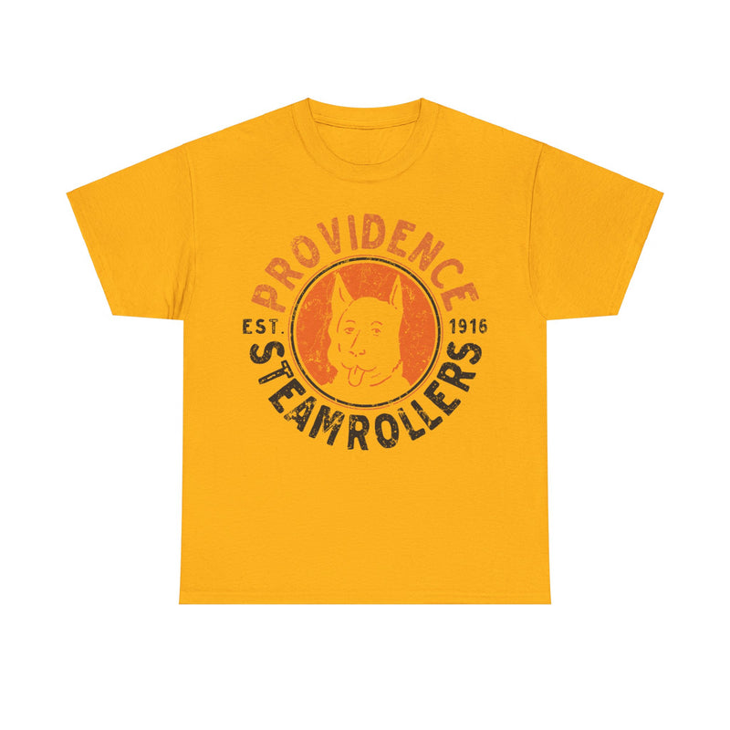 Load image into Gallery viewer, Providence Steamrollers Rhode Island Est 1916 Football T-shirt