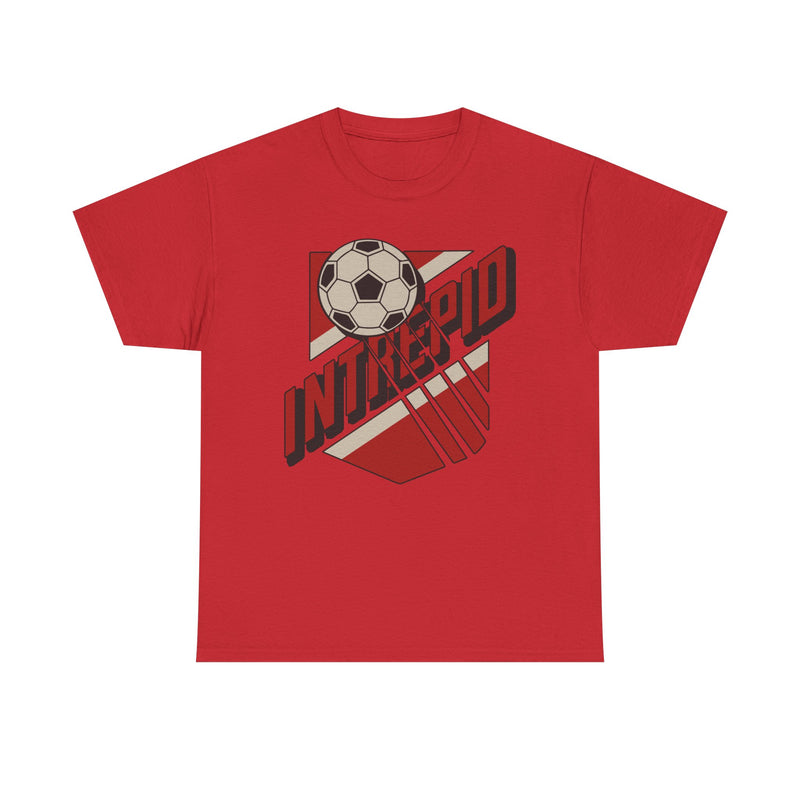Load image into Gallery viewer, Ottawa Intrepid 1988-1989 Canadian Soccer League T-shirt