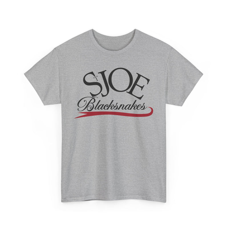 Load image into Gallery viewer, St. Joe Blacksnakes Missouri Baseball 2006-2007 T-shirt