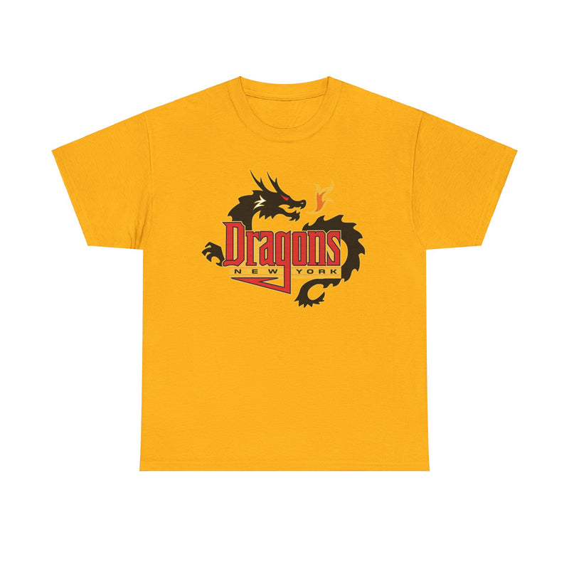 Load image into Gallery viewer, New York Dragons Arena Football League 2001-2008 T-shirt